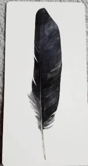 Divine Feather Messenger